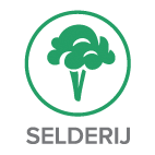 Selderij