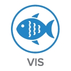 Vis